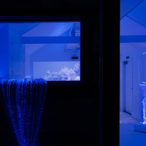 Magic Room™ LED Lighting - Image 2